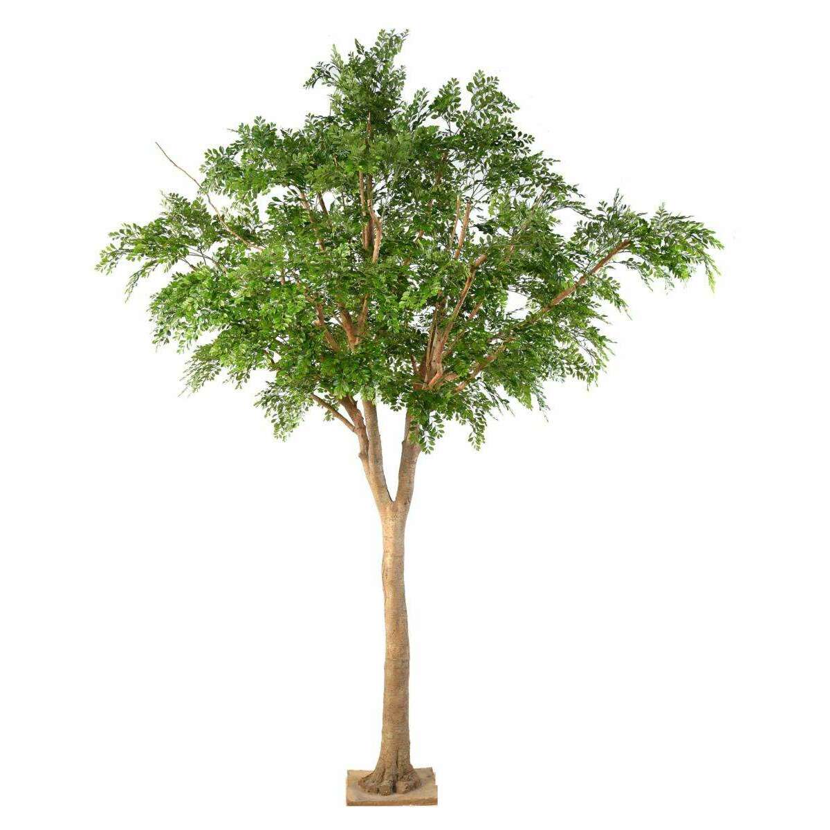 Bucida Arbre artificiel - plante décoration d'intérieur - H.360cm