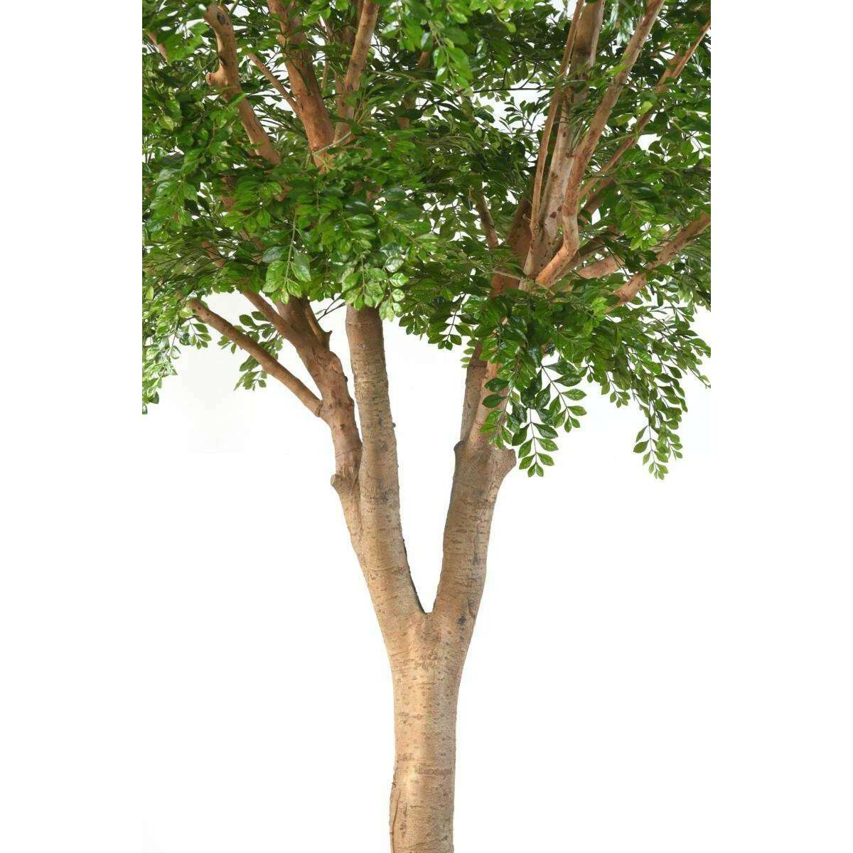 Bucida Arbre artificiel - plante décoration d'intérieur - H.360cm