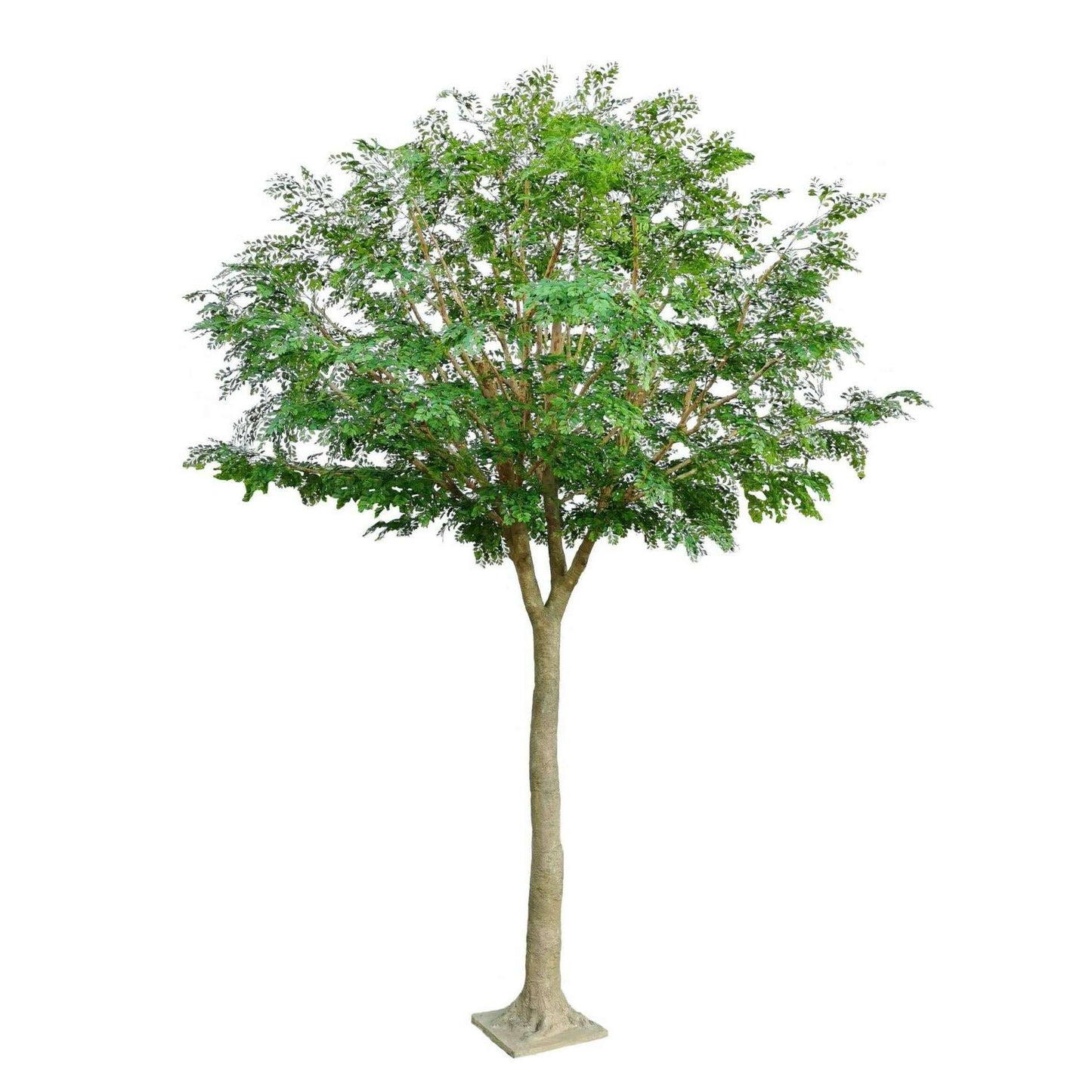 Bucida Arbre artificiel forestier - plante décoration d'intérieur - H.450cm vert