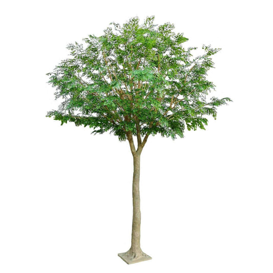 Bucida Arbre artificiel forestier - plante décoration d'intérieur - H.450cm vert