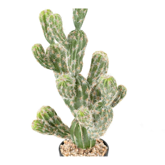 Cactus artificiel Echinocereus - plante synthétique d'intérieur - H.44cm