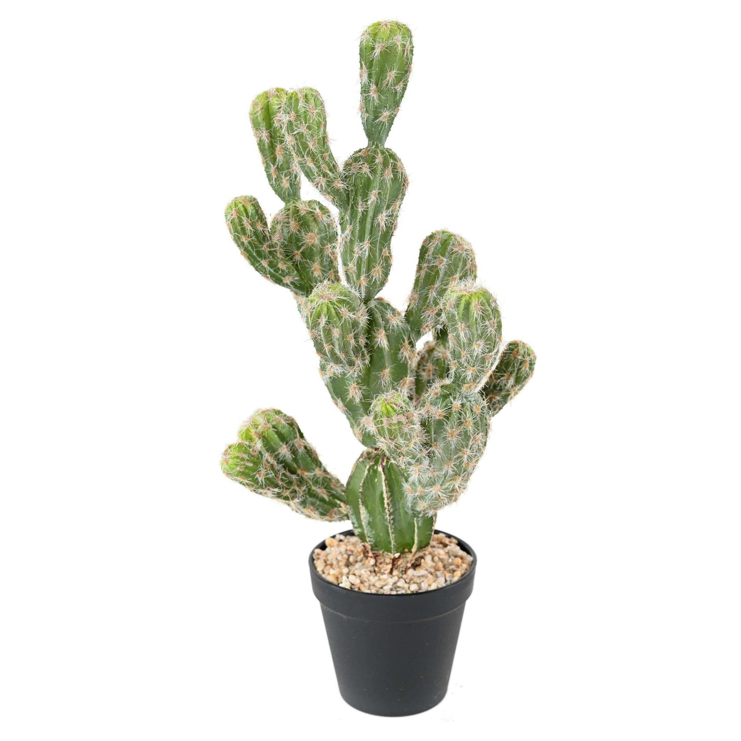 Cactus artificiel Echinocereus - plante synthétique d'intérieur - H.44cm
