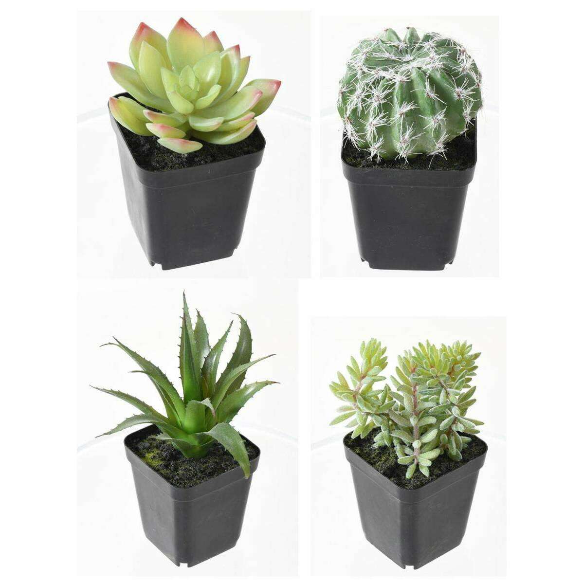 Cactus artificiels assortiment de 4 plantes - plante synthétique d'intérieur - H.20cm