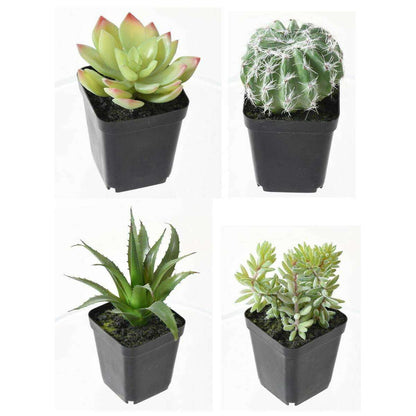 Cactus artificiels assortiment de 4 plantes - plante synthétique d'intérieur - H.20cm
