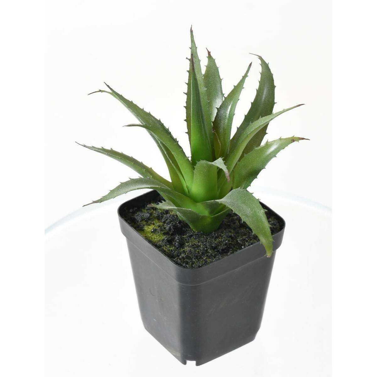 Cactus artificiels assortiment de 4 plantes - plante synthétique d'intérieur - H.20cm