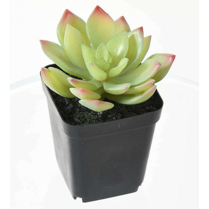 Cactus artificiels assortiment de 4 plantes - plante synthétique d'intérieur - H.20cm