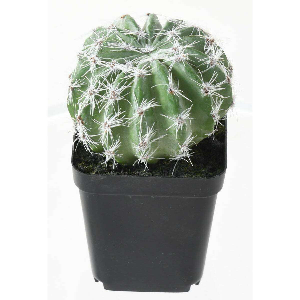 Cactus artificiels assortiment de 4 plantes - plante synthétique d'intérieur - H.20cm
