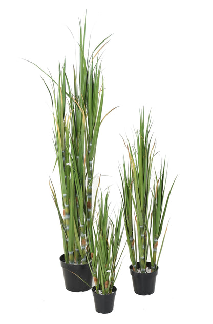 Canne à sucre artificielle H.180 cm – Plante tropicale grand format