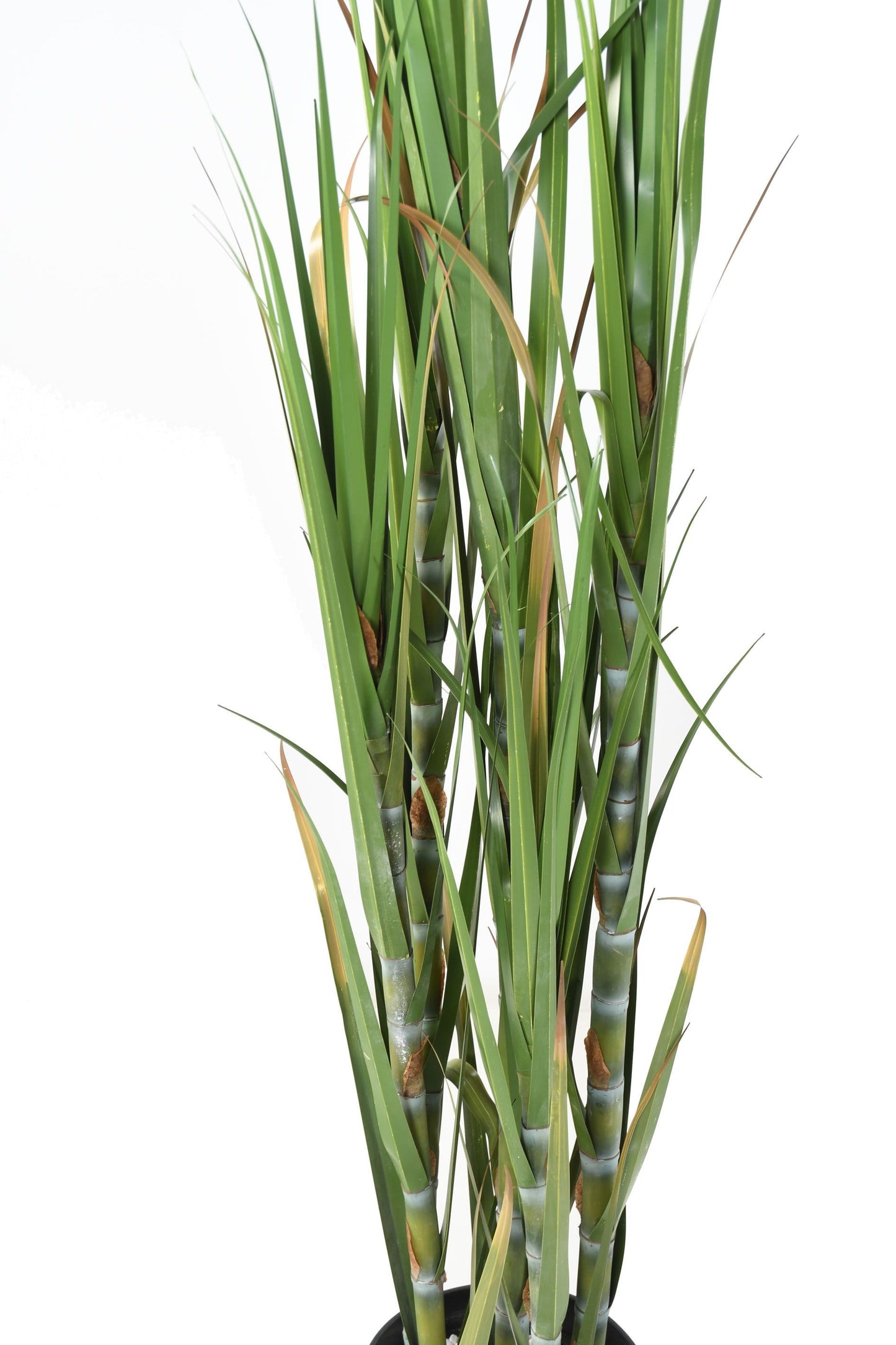 Canne à sucre artificielle H.180 cm – Plante tropicale grand format