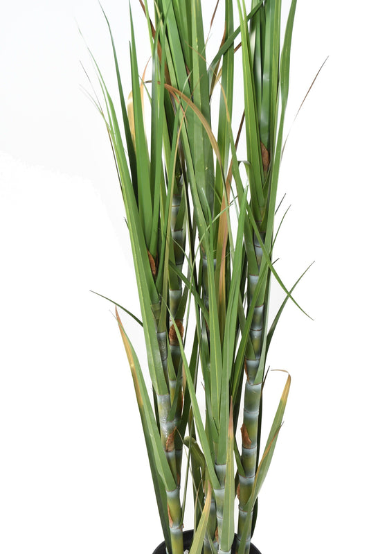 Canne à sucre artificielle H.180 cm – Plante tropicale grand format