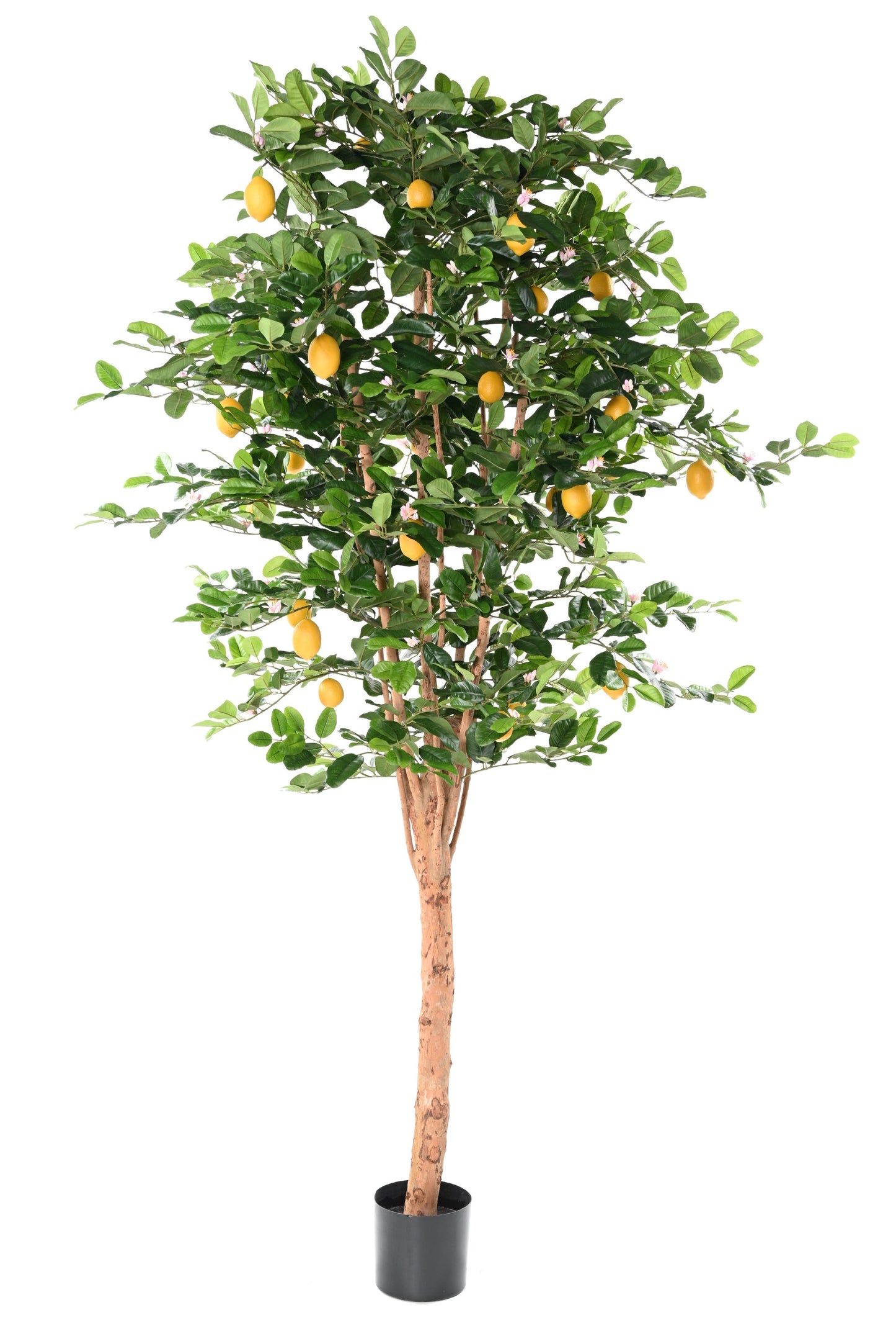 Arbre artificiel Citronnier Sunny - décoration intérieur -  H.235 cm – Vert et fruits jaunes