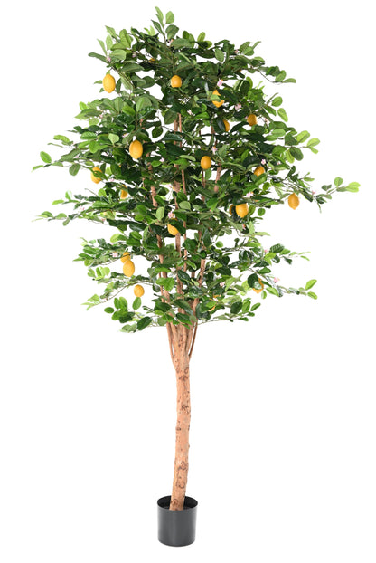 Arbre artificiel Citronnier Sunny - décoration intérieur -  H.235 cm – Vert et fruits jaunes
