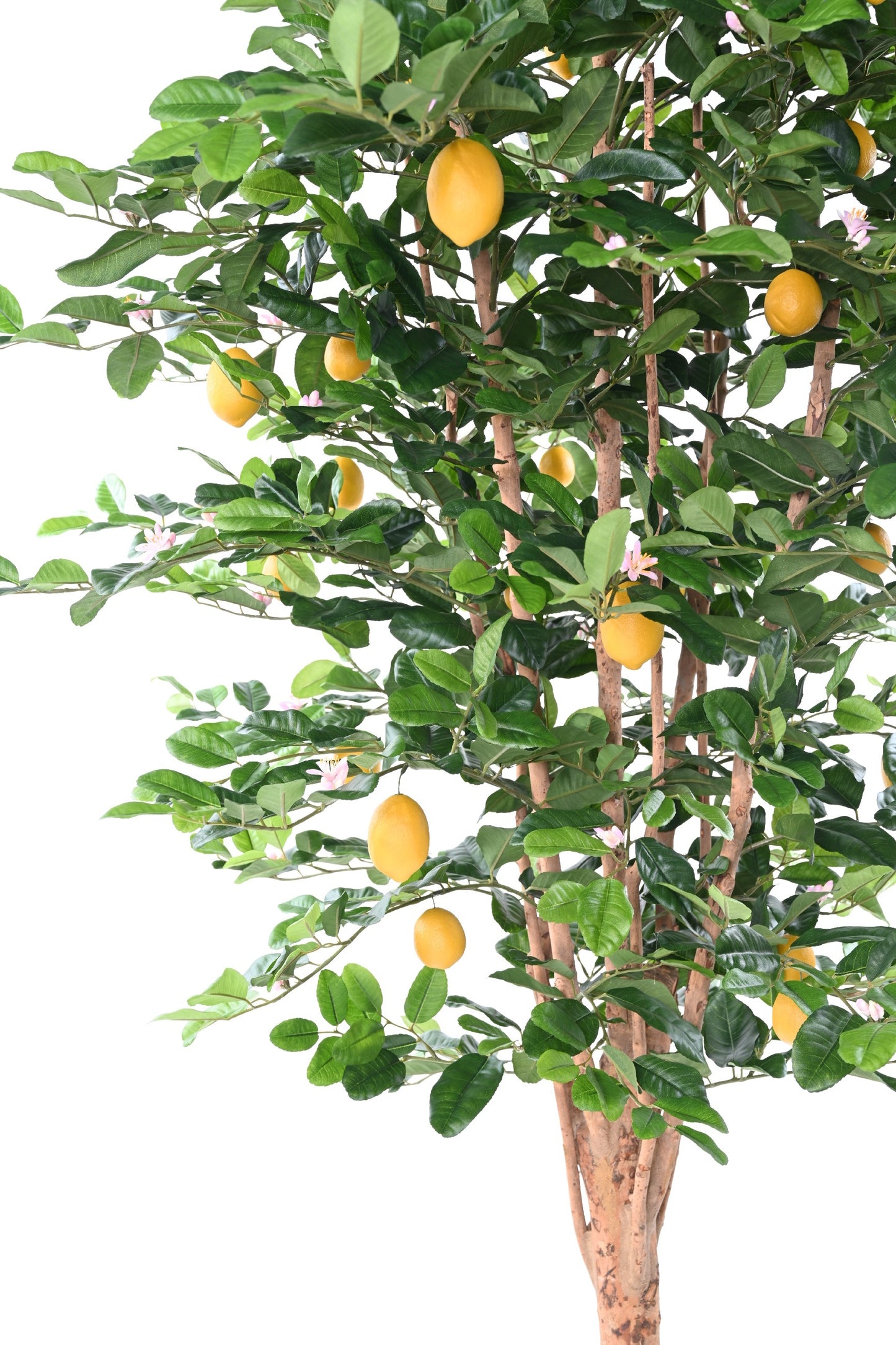 Arbre artificiel Citronnier Sunny - décoration intérieur -  H.235 cm – Vert et fruits jaunes