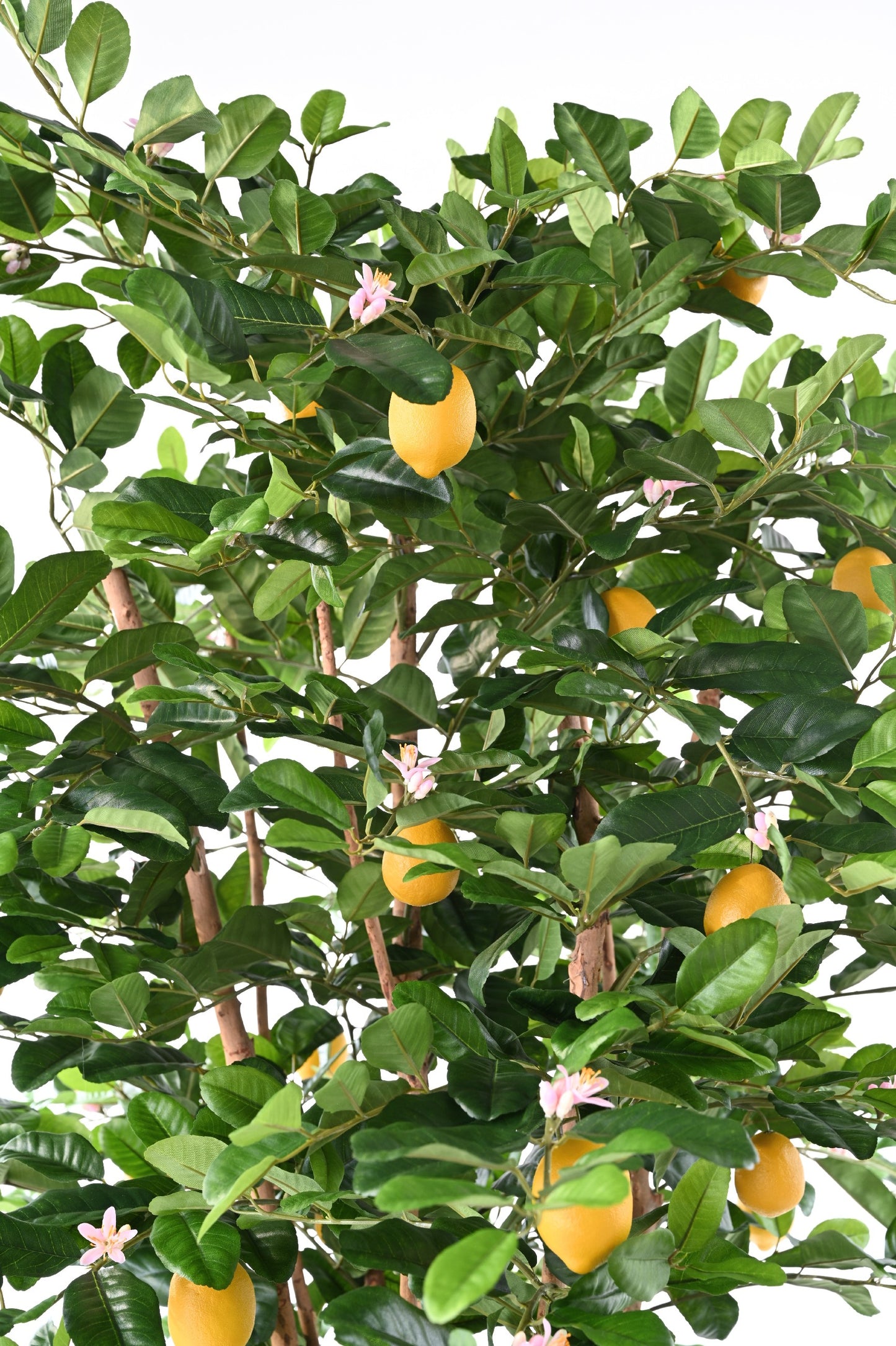 Arbre artificiel Citronnier Sunny - décoration intérieur -  H.235 cm – Vert et fruits jaunes