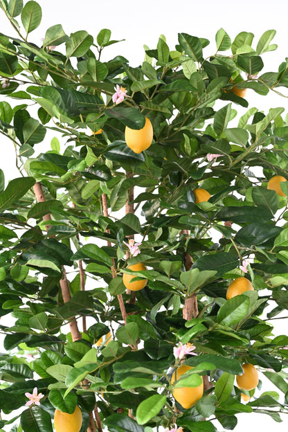 Arbre artificiel Citronnier Sunny - décoration intérieur -  H.235 cm – Vert et fruits jaunes