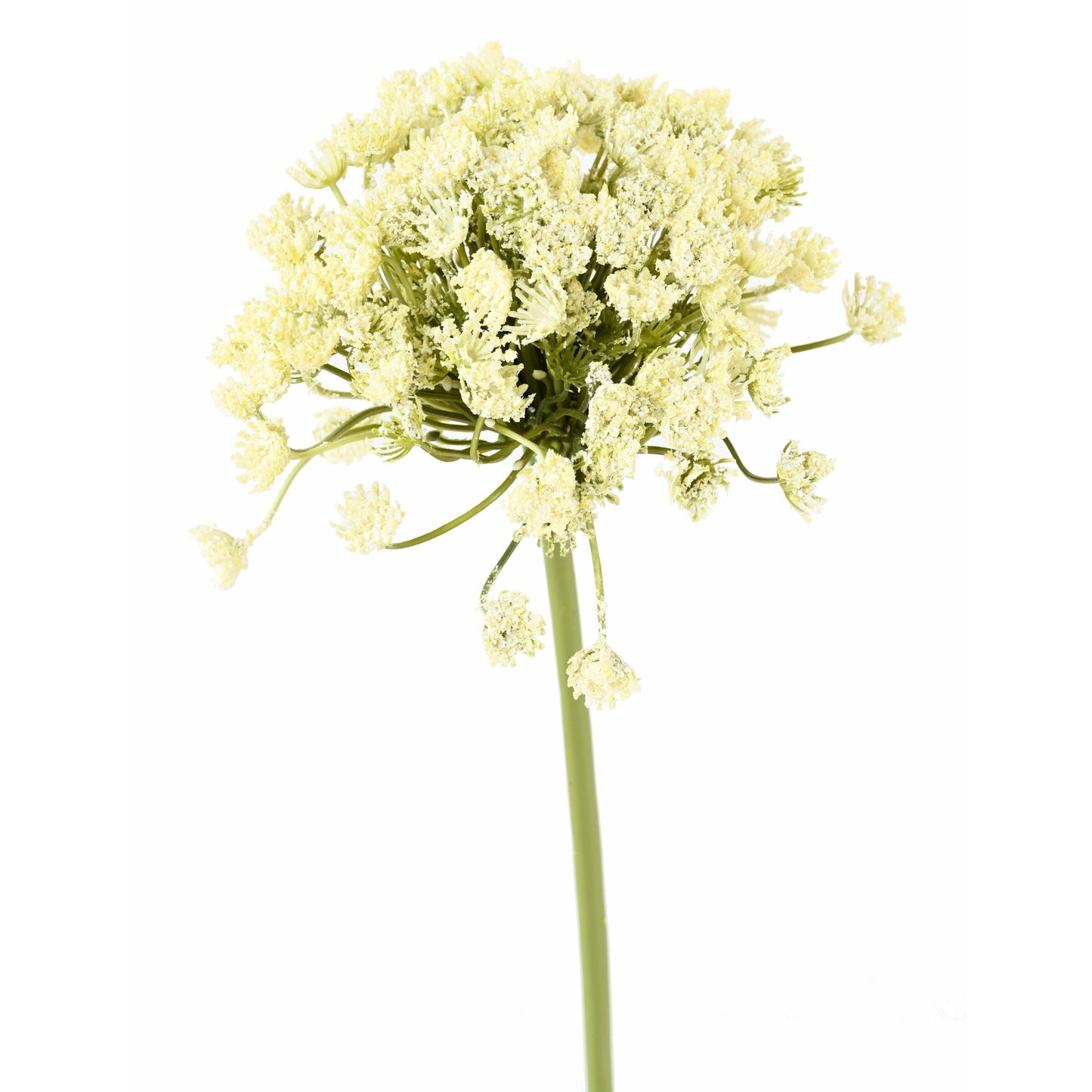 Fleur artificielle Daucus Carota - création bouquet pour intérieur - H. 54cm blanc