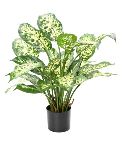 Dieffenbachia artificiel - 26 feuilles - plante d'intérieur - H.51 cm