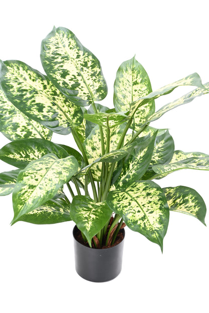 Dieffenbachia artificiel - 26 feuilles - plante d'intérieur - H.51 cm