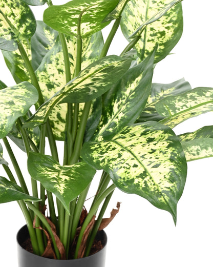 Dieffenbachia artificiel - 26 feuilles - plante d'intérieur - H.51 cm