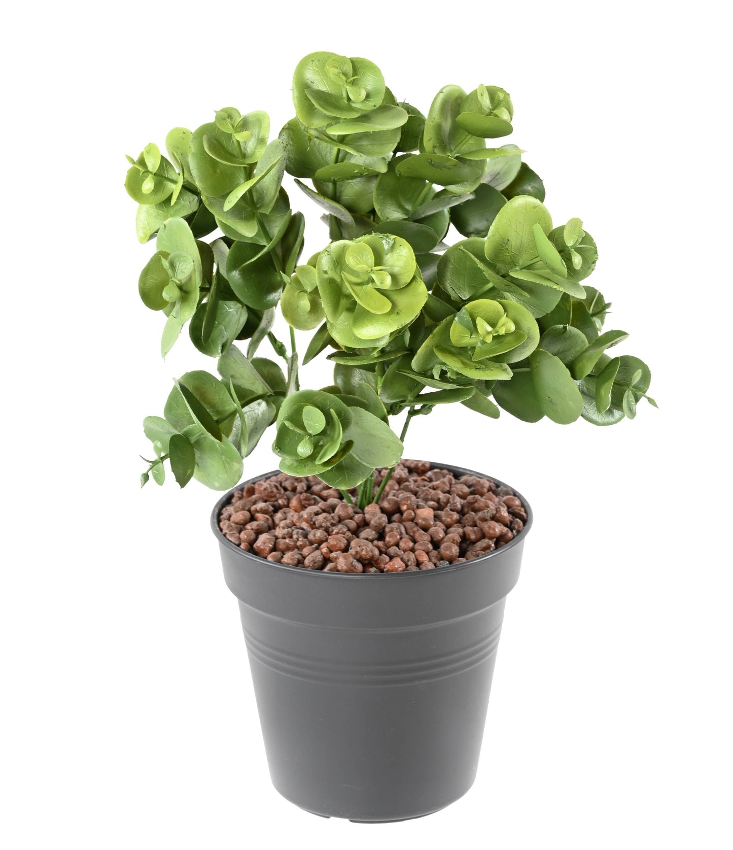 Plante artificielle Eucalyptus en piquet - décoration d'intérieur - H. 30 cm- Vert - E1