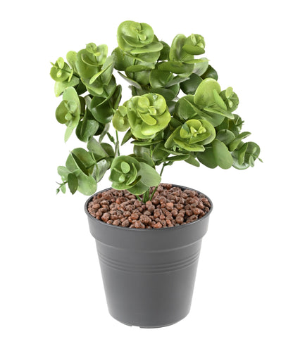 Plante artificielle Eucalyptus en piquet - décoration d'intérieur - H. 30 cm- Vert - E1