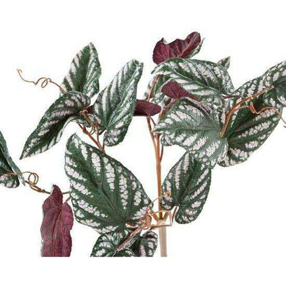 Feuillage artificiel Bégonia Muculata en piquet - plante d'intérieur - H.50cm