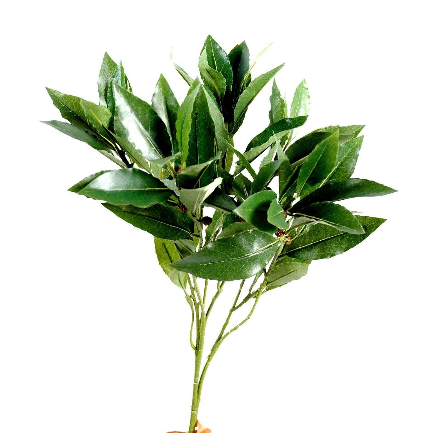 Feuillage artificiel branche de Laurier - décoration d'intérieur - H.50cm vert