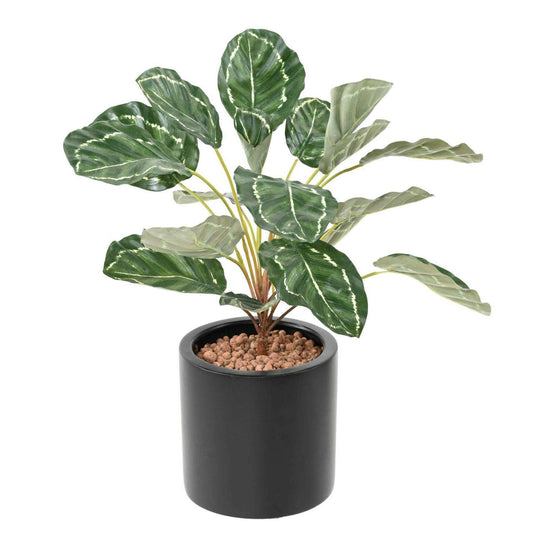 Feuillage artificiel Calathea 19 feuilles - plante verte d'intérieur - H.55cm