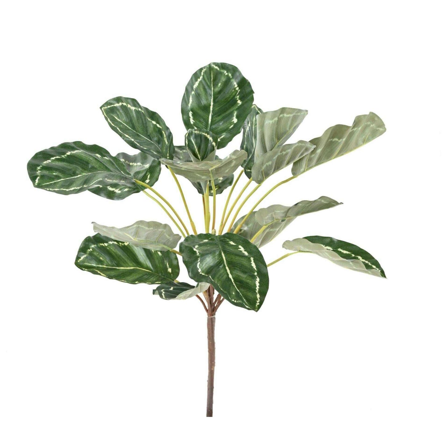 Feuillage artificiel Calathea 19 feuilles - plante verte d'intérieur - H.55cm