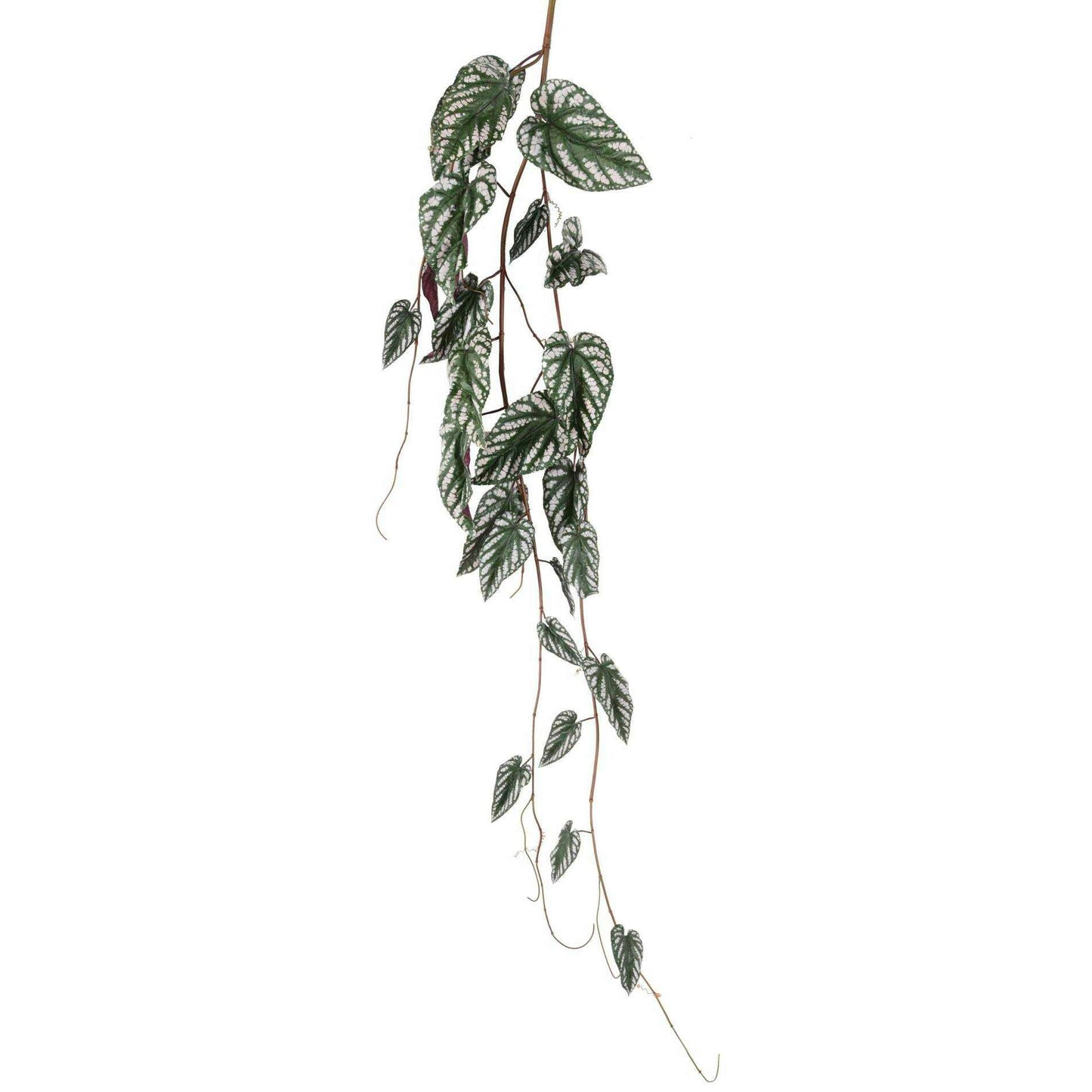 Feuillage artificiel chute de Bégonia Muculata - plante retombante d'intérieur - H.230cm