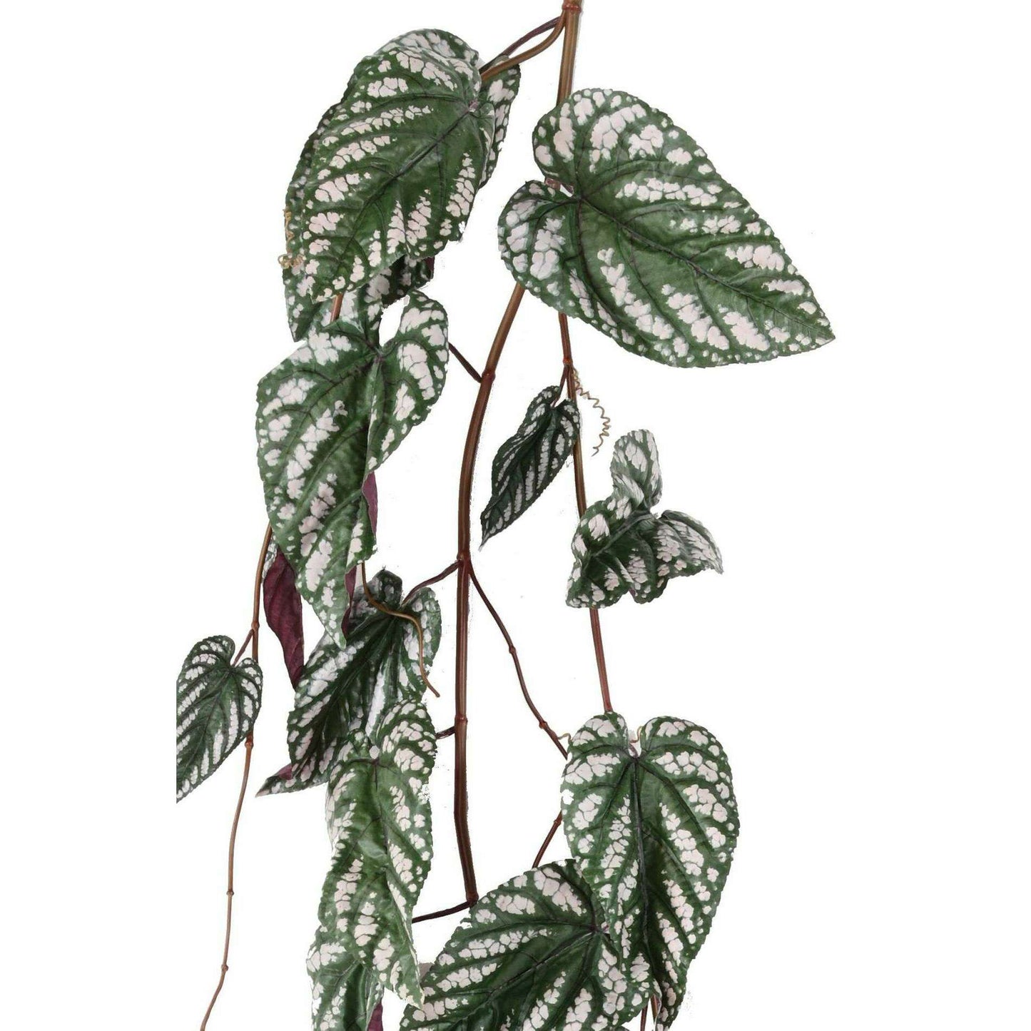 Feuillage artificiel chute de Bégonia Muculata - plante retombante d'intérieur - H.230cm