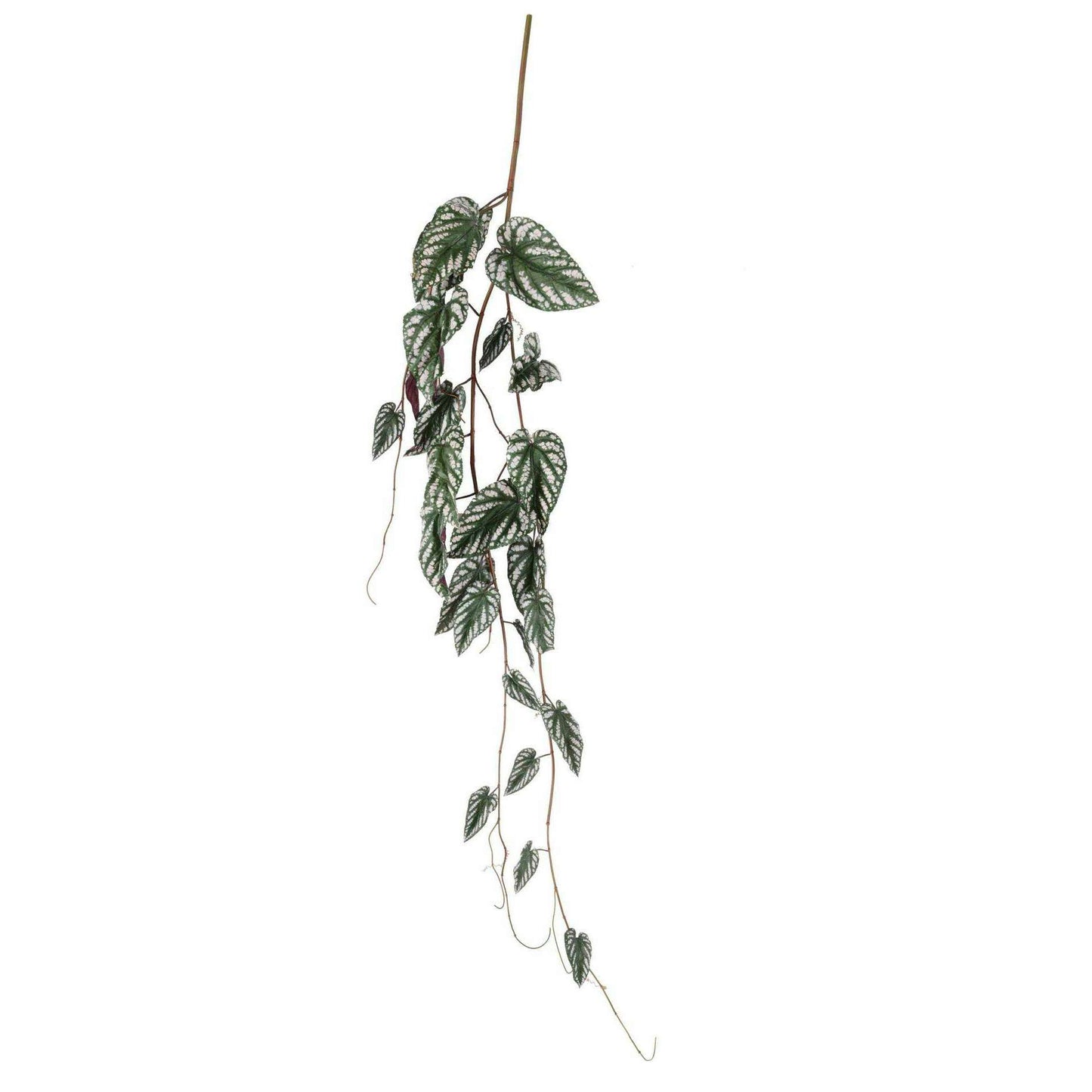 Feuillage artificiel chute de Bégonia Muculata - plante retombante d'intérieur - H.230cm