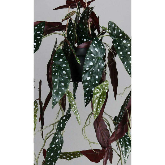 Feuillage artificiel chute de Bégonia Muculata en pot - plante retombante d'intérieur - H.90cm - P2- P2