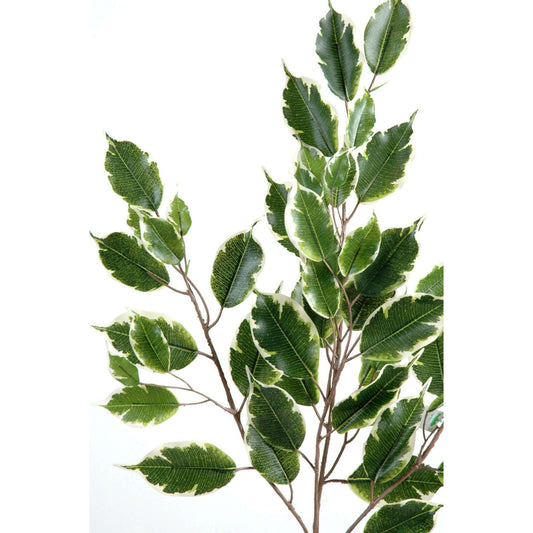 Feuillage artificiel Ficus exotica - composition florale - H.76cm vert blanc