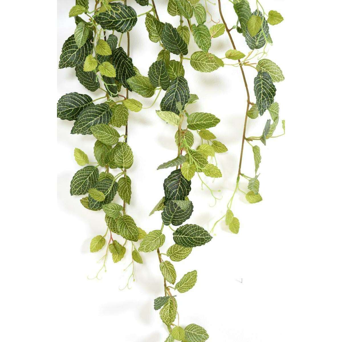 Feuillage artificiel piquet Fittonia - plante pour intérieur - H.80cm panaché