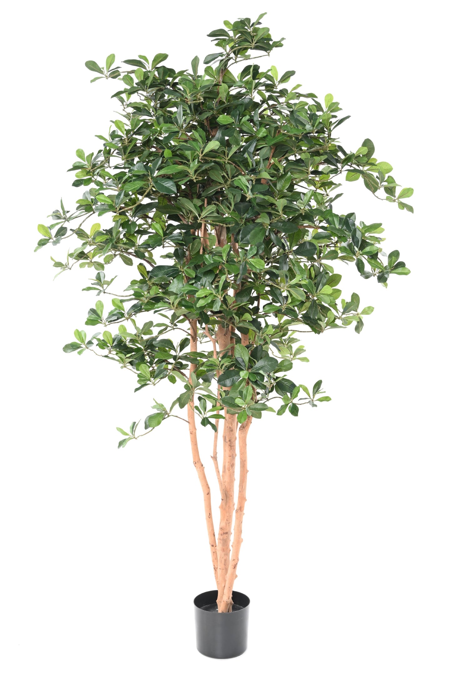 Arbre artificiel Ficus Black Olive - plante artificielle d'intérieur - H.178cm