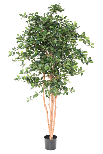 Arbre artificiel Ficus Black Olive - plante artificielle d'intérieur - H.178cm