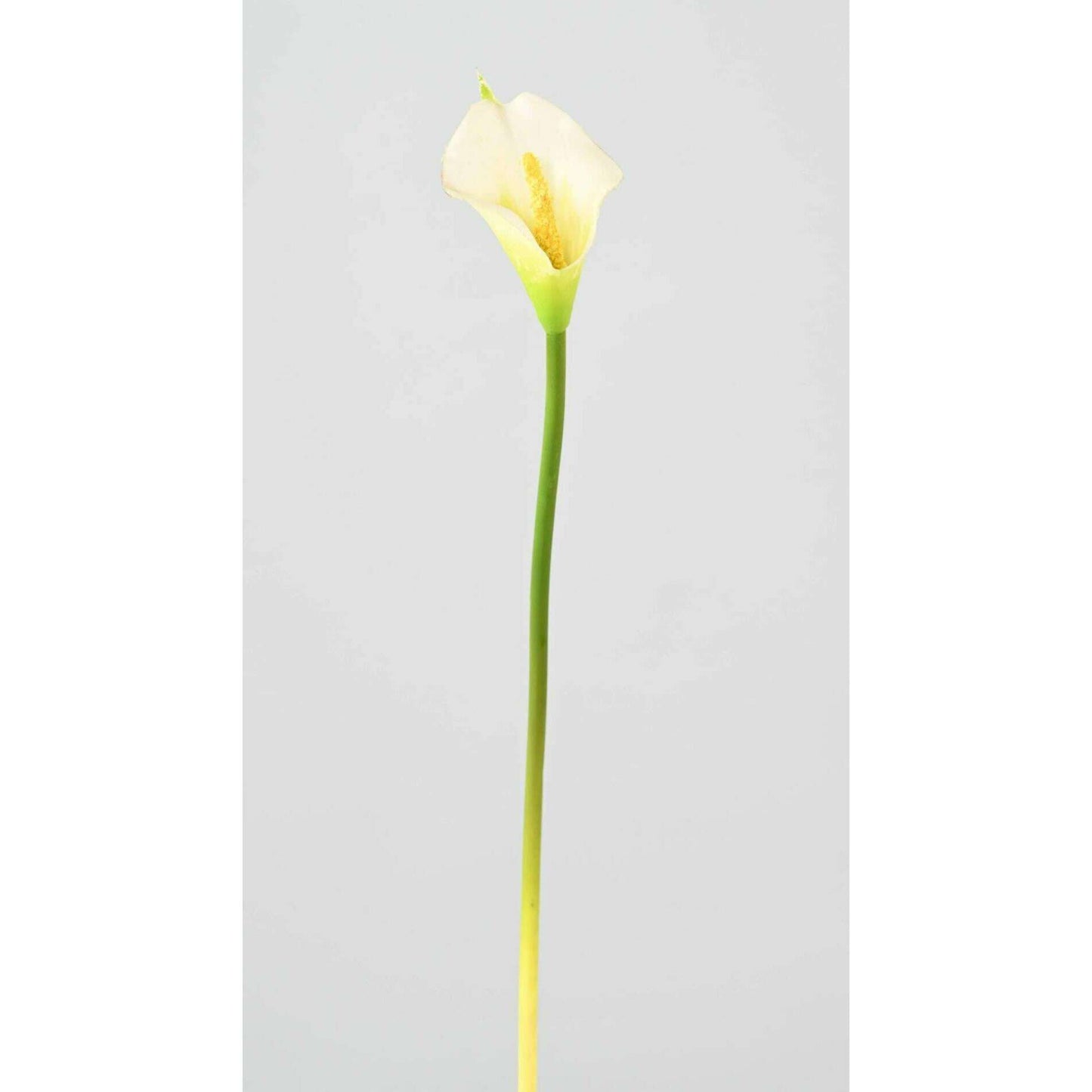 Fleur artificielle (ARUM) Arome - composition bouquet - H.44cm blanc