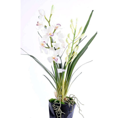 Fleur artificielle Cymbidium en motte - plante d'intérieur - H.80cm blanc