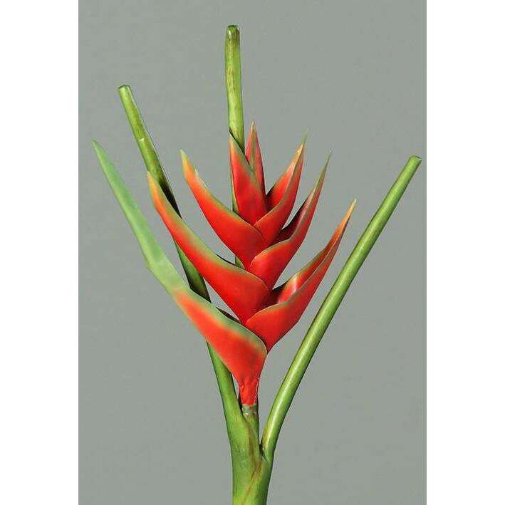 Fleur artificielle Héliconia bec de perroquet - fresh touch haute qualité - H.126cm rouge
