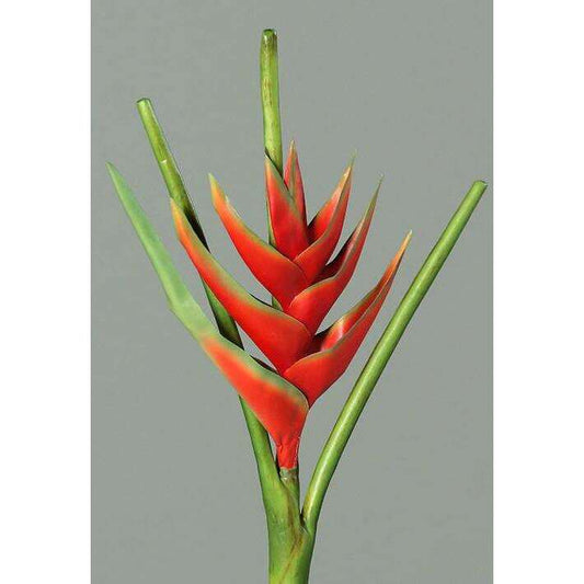 Fleur artificielle Héliconia bec de perroquet - fresh touch haute qualité - H.126cm rouge