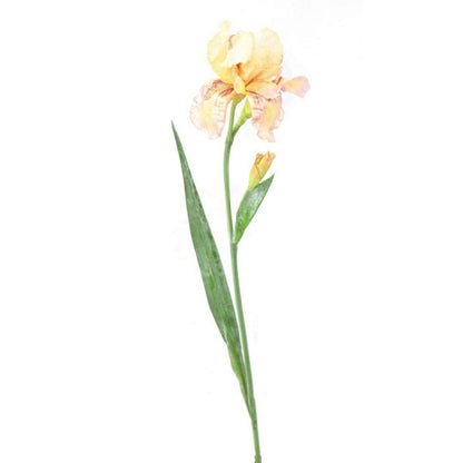 Fleur artificielle iris 2 fleurs - décoration d'intérieur - H. 70cm crème violet