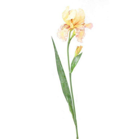 Fleur artificielle iris 2 fleurs - décoration d'intérieur - H. 70cm crème violet