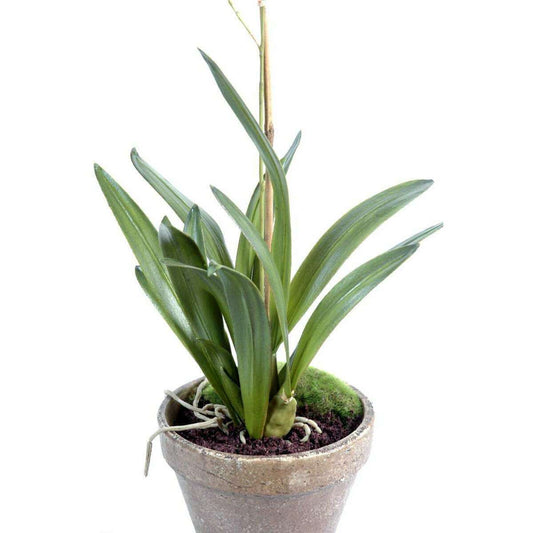 Fleur artificielle Orchidée Dancing Lady - plante en pot terre - H.90cm jaune