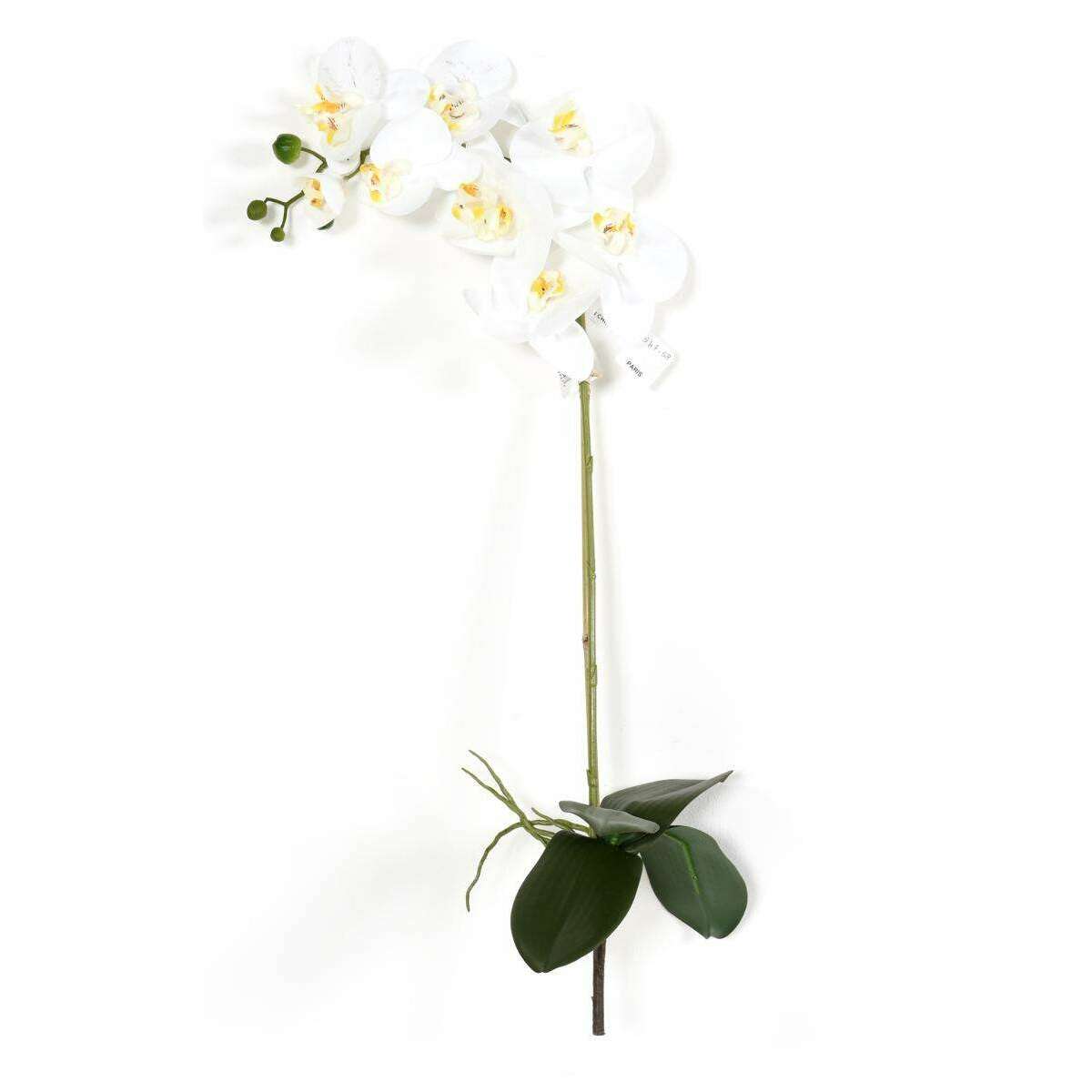 Fleur artificielle Orchidée Phalaenopsis - 8 fleurs et 4 boutons - H.76cm blanc