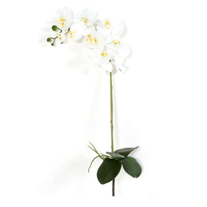 Fleur artificielle Orchidée Phalaenopsis - 8 fleurs et 4 boutons - H.76cm blanc