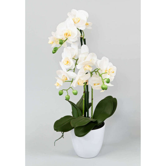 Fleur artificielle Orchidée Phalaenopsis avec pot blanc - plante d'intérieur - H.60cm