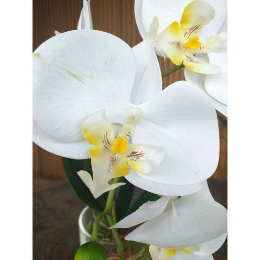 Fleur artificielle Orchidée Phalaenopsis dans un pot en verre - plante d'intérieur - H.42cm crème