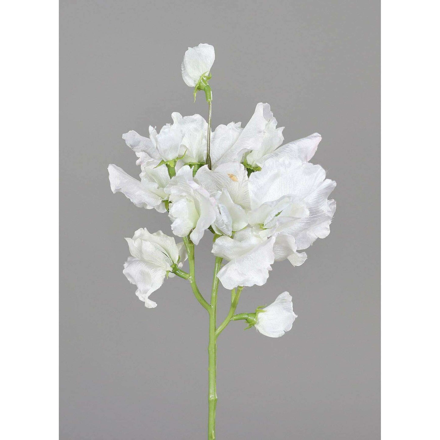 Fleur artificielle Pois de senteur - composition florale - H.46cm crème