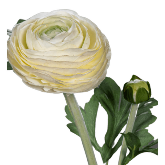 Fleur artificielle tige de Renoncule - création de bouquet - H.57cm crème
